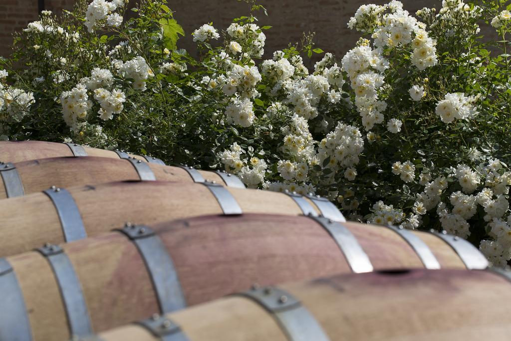Marchesi Alfieri - Cantine E Ospitalita San Martino Alfieri Ngoại thất bức ảnh