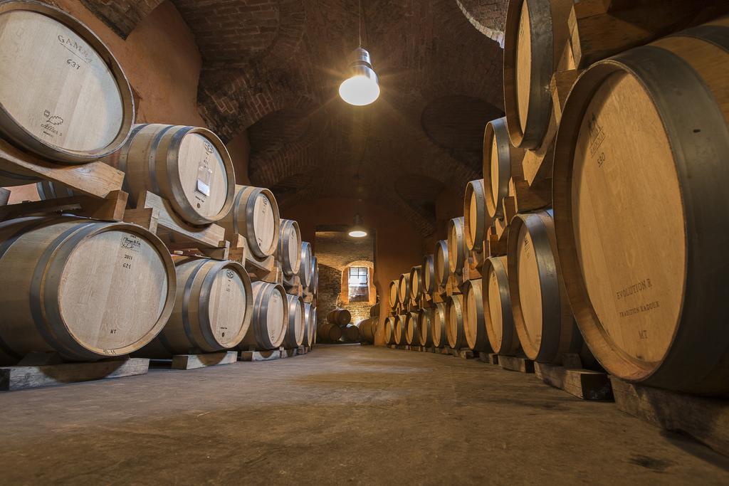 Marchesi Alfieri - Cantine E Ospitalita San Martino Alfieri Ngoại thất bức ảnh